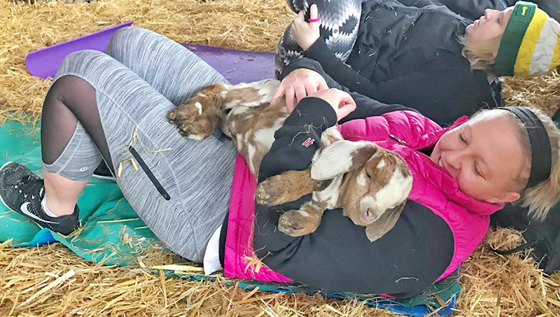 Goat Yoga, Facebook